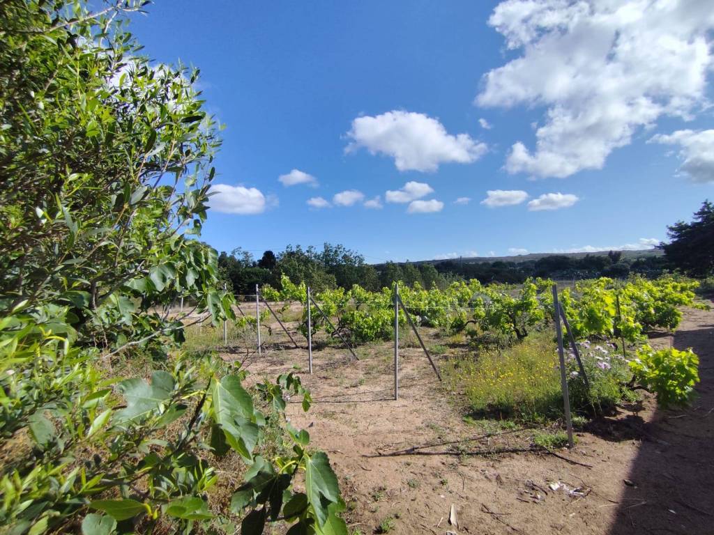 Terreno a Portoscuso in SP108 - Foto 5