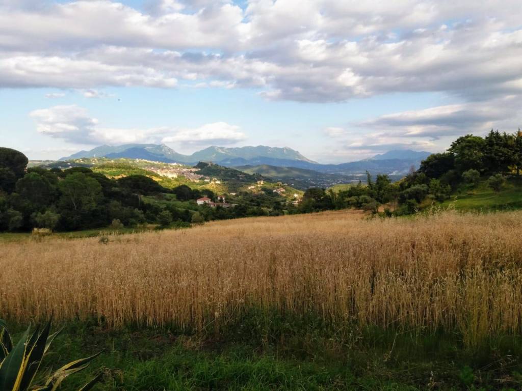 Villa a Caiazzo - Foto 3