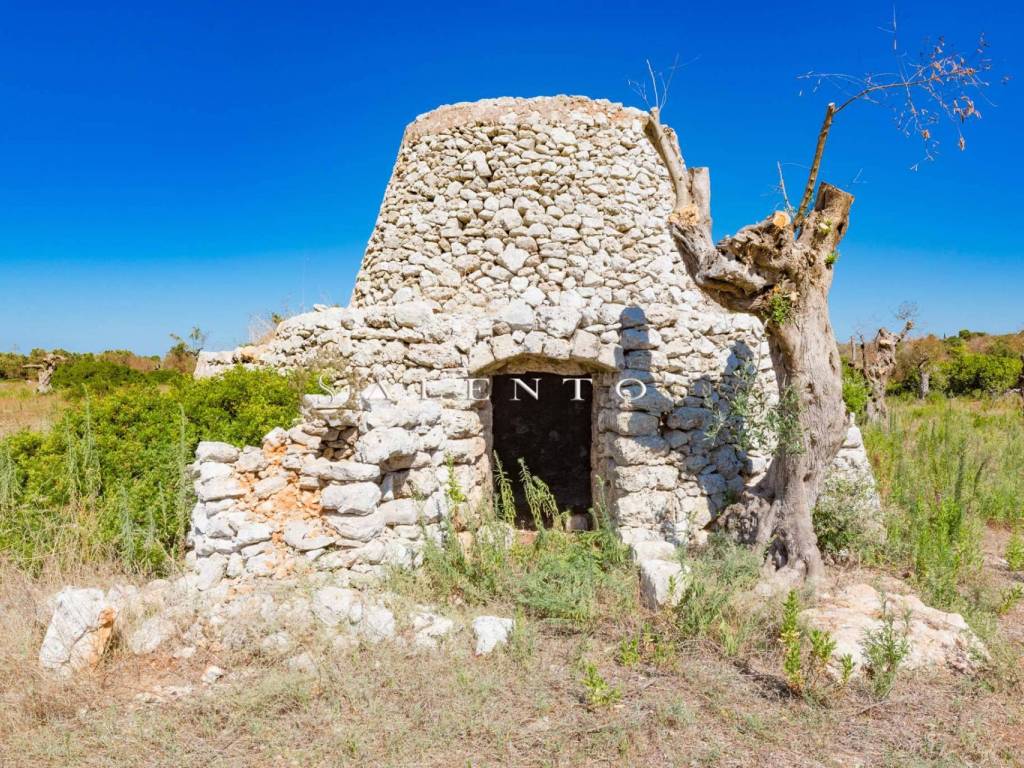 Rustico / casale a Salve in Strada Comunale Primo Pali - Foto 3