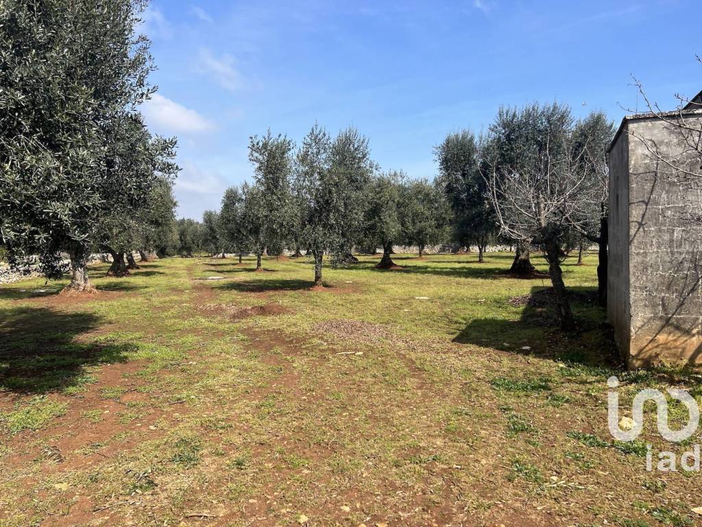 Rustico / casale a Ceglie messapica in Strada san michele - Foto 4