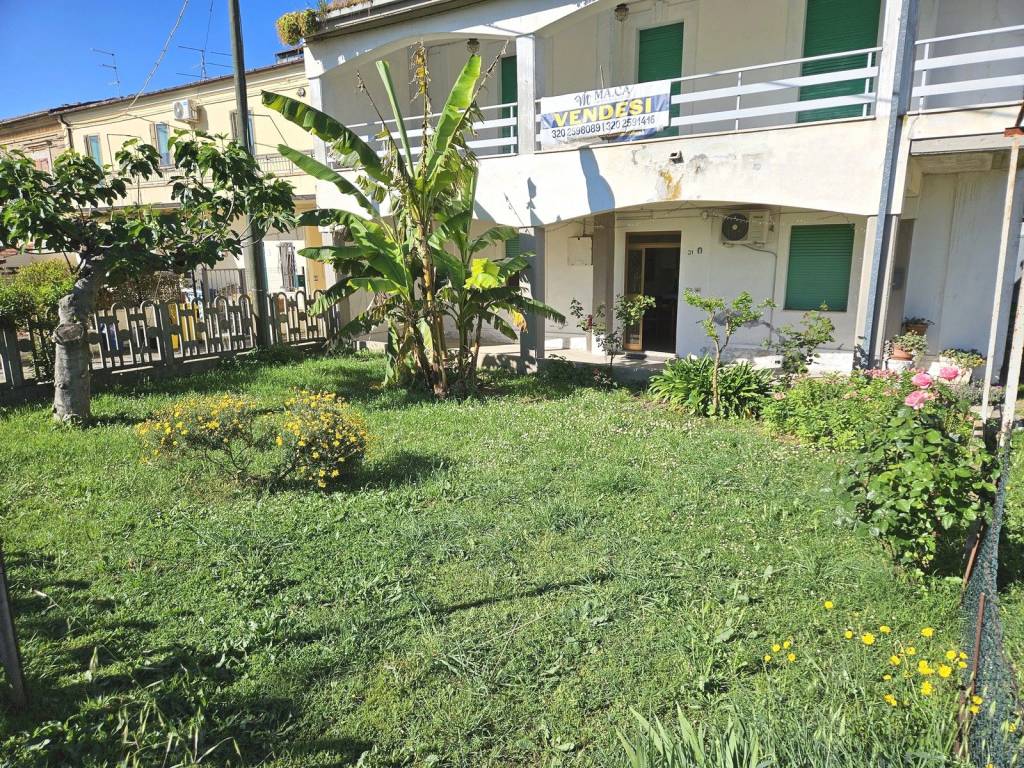 Appartamento a Cepagatti in Via Piave - Foto 3