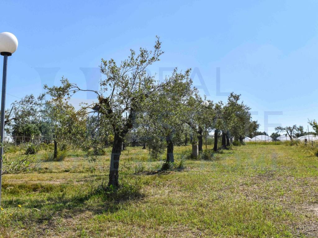 Villa a Ispica in SC40 - Foto 4