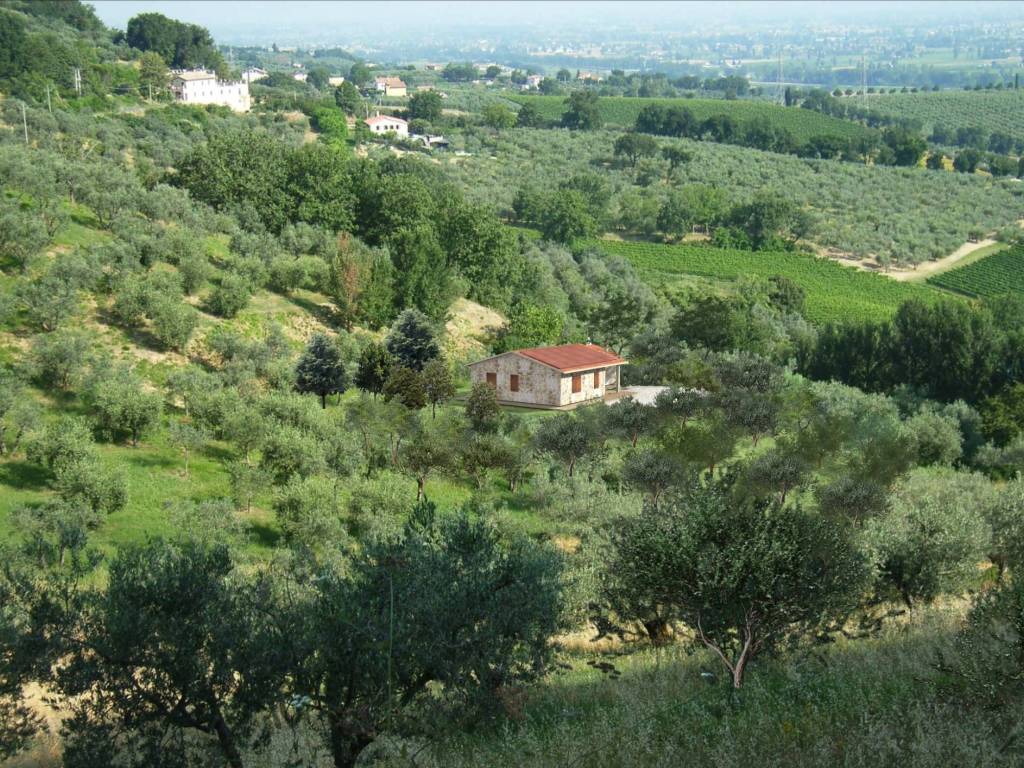 Rustico / casale a Montefalco in Località Camiano - Foto 2