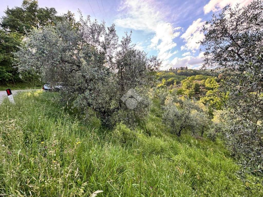 Terreno a Pistoia in Via del brandeglio, 105 - Foto 2