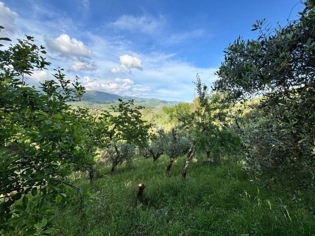 Terreno a Pistoia in Via del brandeglio, 105 - Foto 3