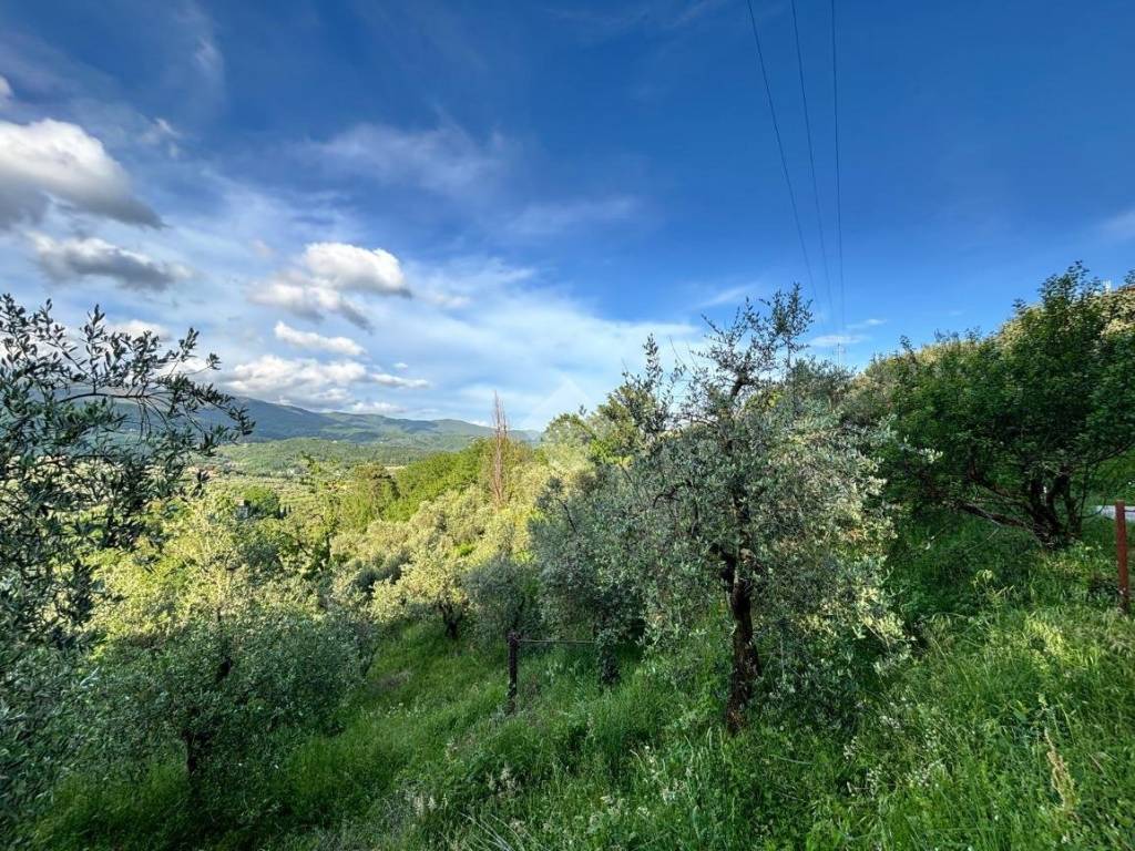 Terreno a Pistoia in Via del brandeglio, 105 - Foto 4