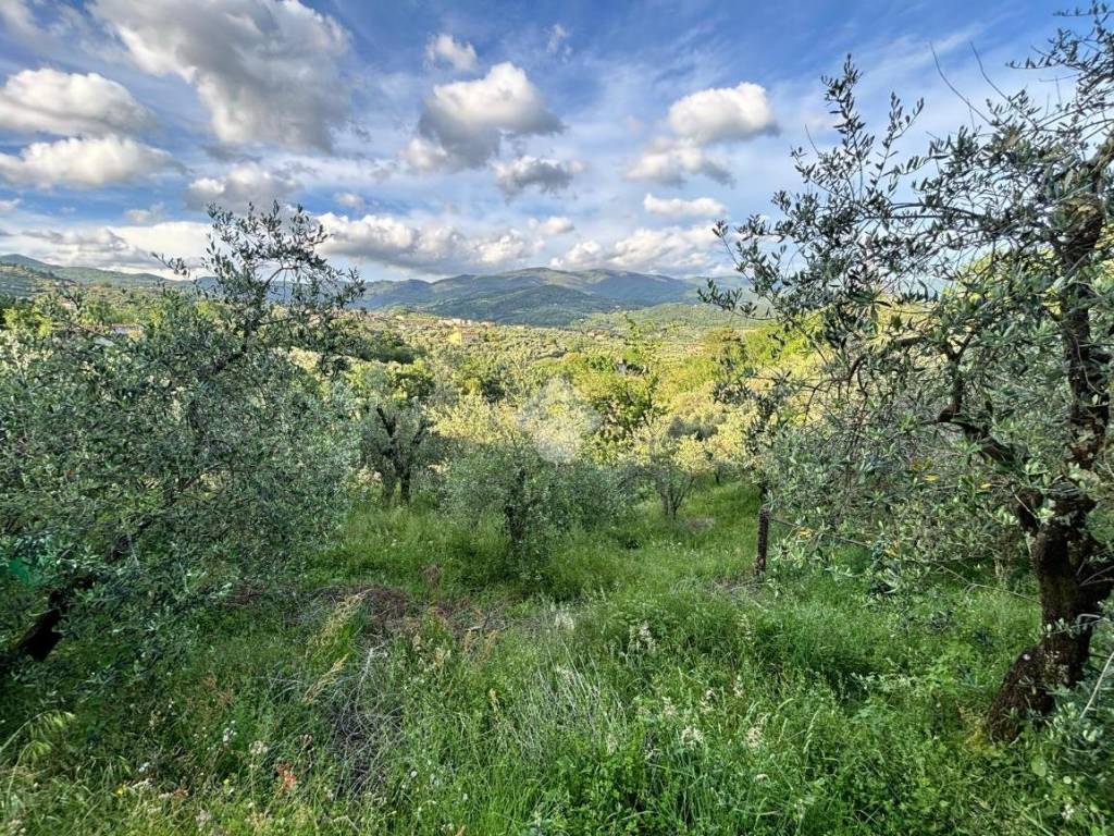 Terreno a Pistoia in Via del brandeglio, 105 - Foto 5