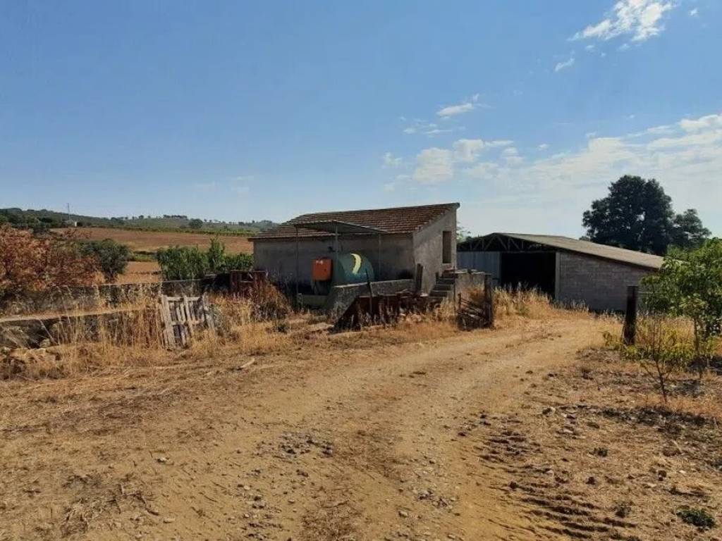 Immobile a Orbetello - Foto 3