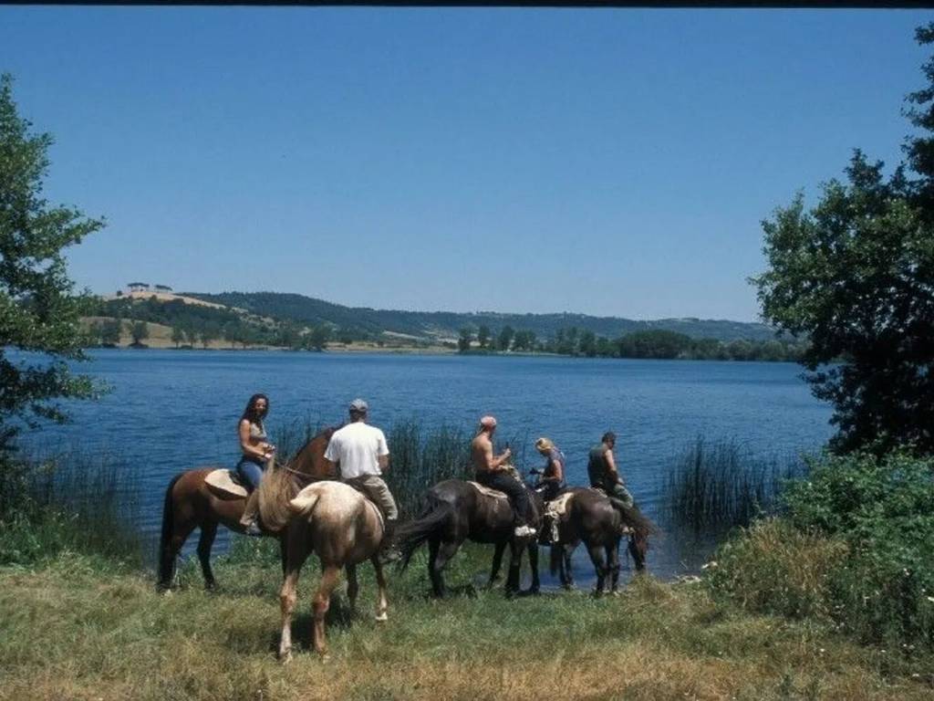 Immobile a Semproniano - Foto 3