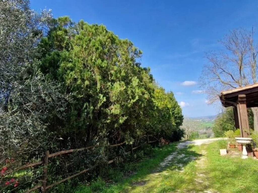 Immobile a Manciano - Foto 3