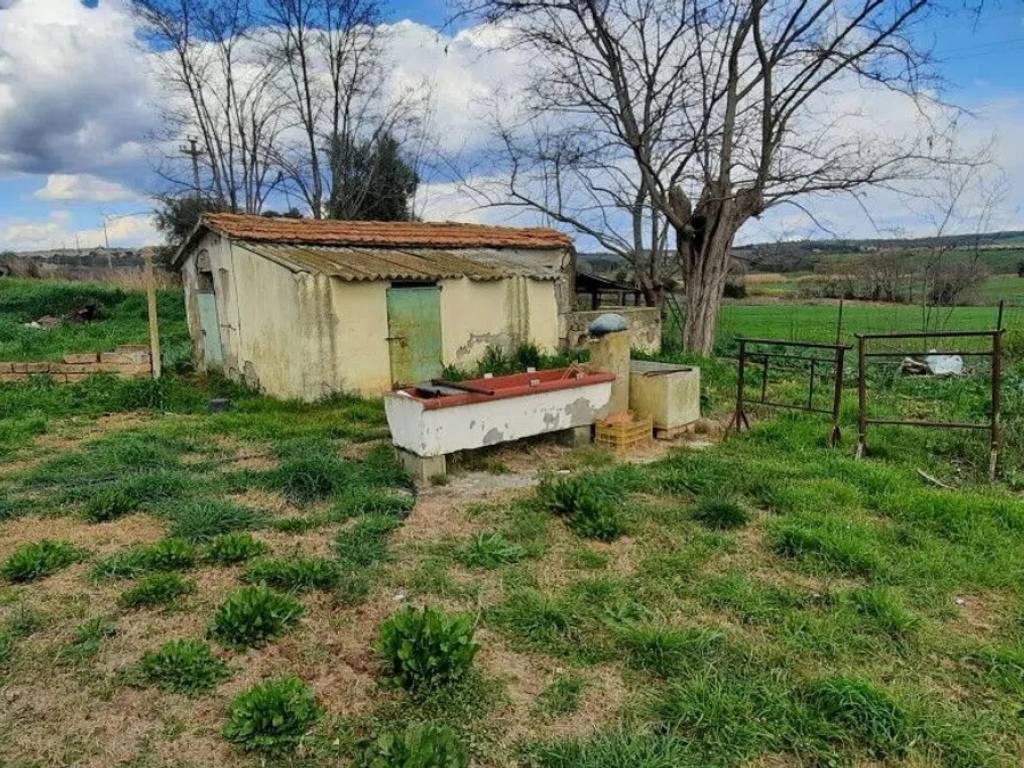 Rustico / casale a Magliano in toscana - Foto 2