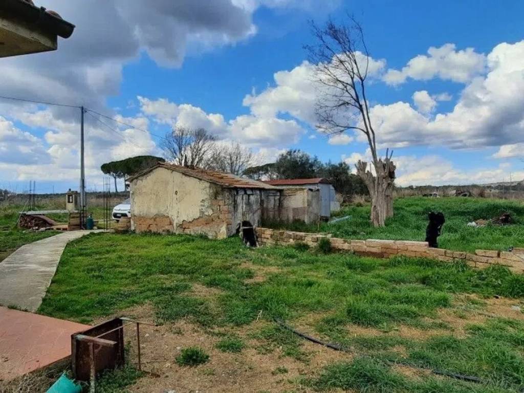Rustico / casale a Magliano in toscana - Foto 3