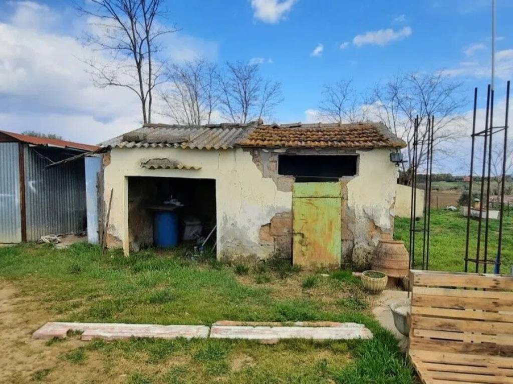 Rustico / casale a Magliano in toscana - Foto 5