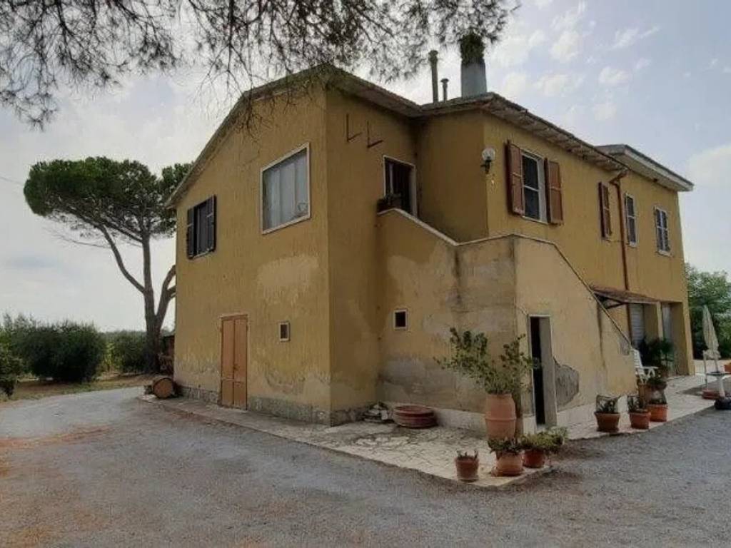 Rustico / casale a Pitigliano - Foto 3