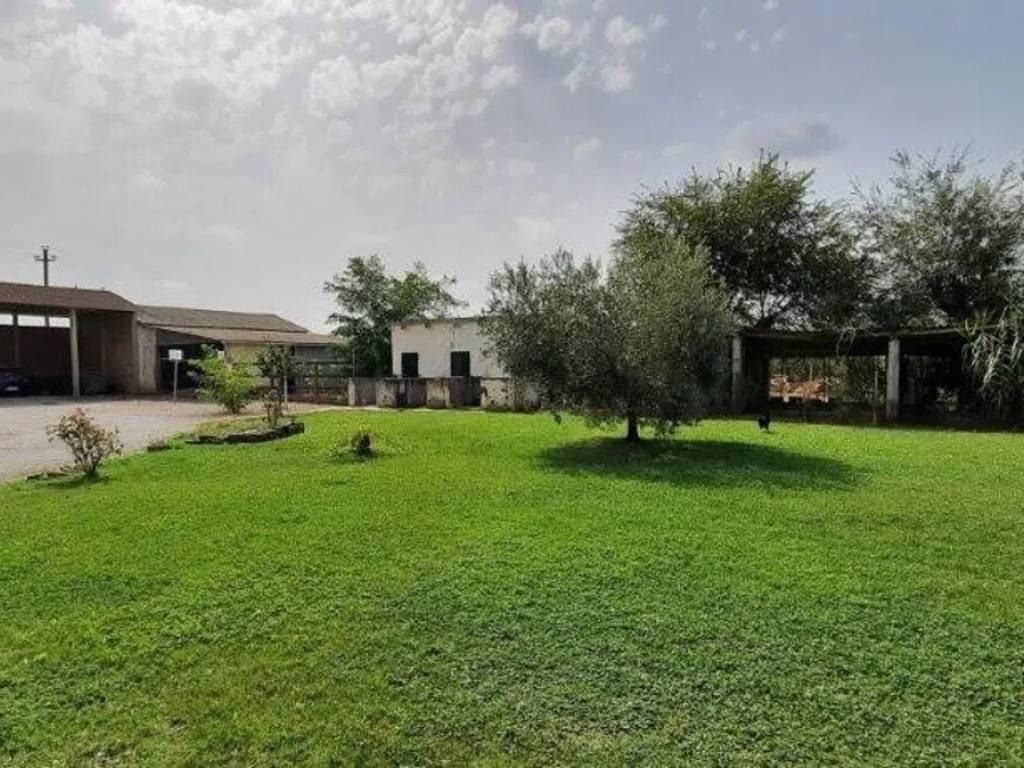 Rustico / casale a Pitigliano - Foto 4