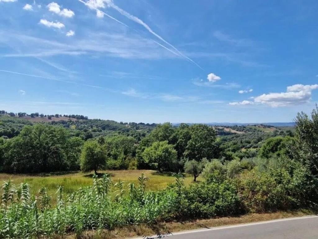 Rustico / casale a Manciano - Foto 5