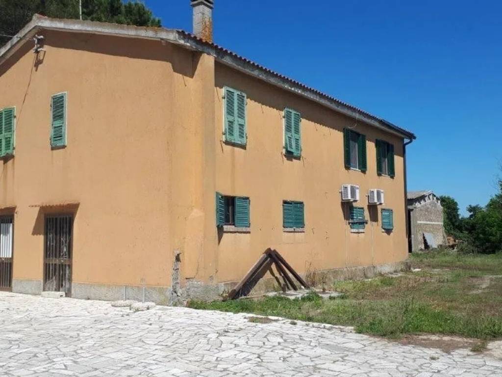 Rustico / casale a Manciano - Foto 2