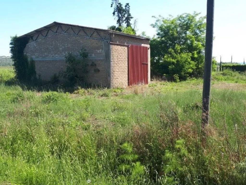 Rustico / casale a Manciano - Foto 5