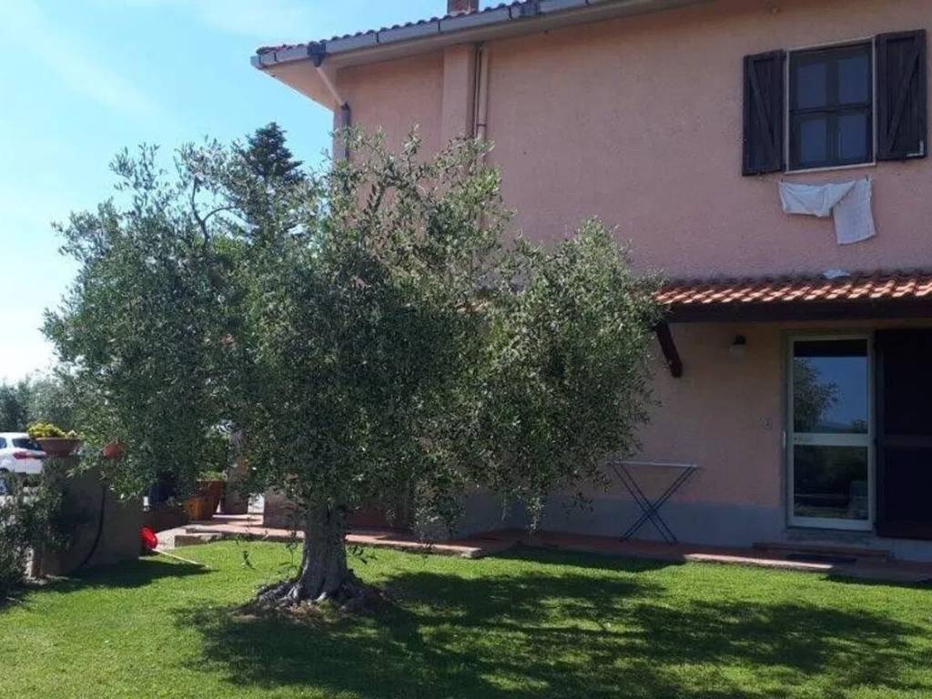 Rustico / casale a Orbetello - Foto 5