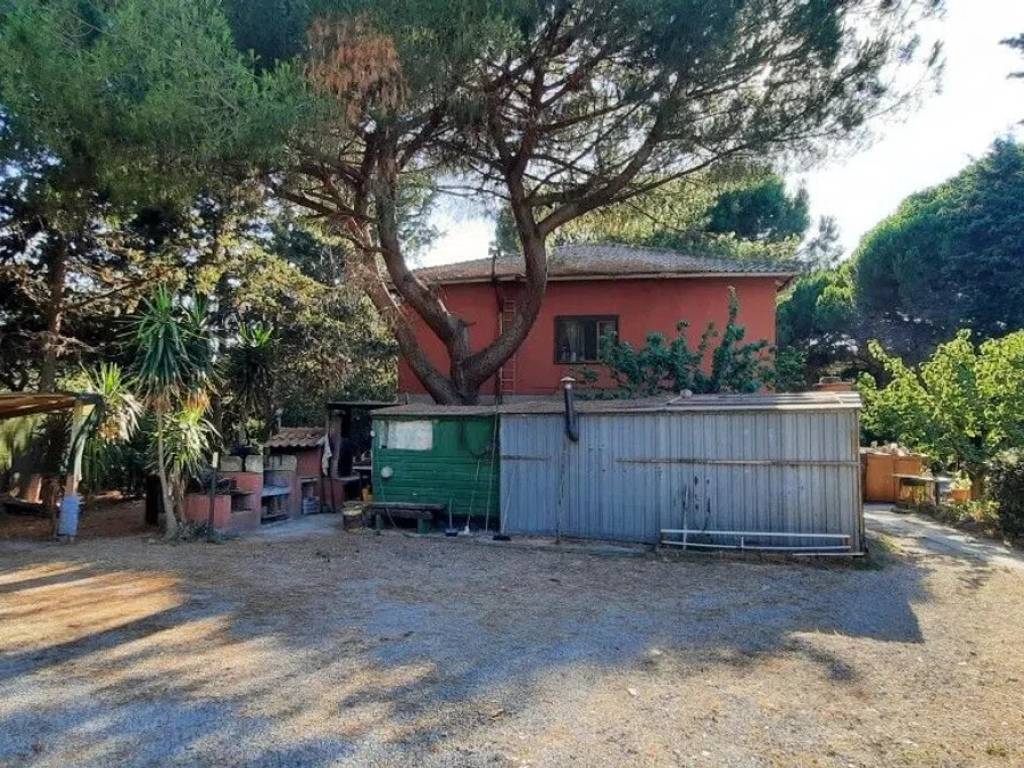 Rustico / casale a Orbetello - Foto 3