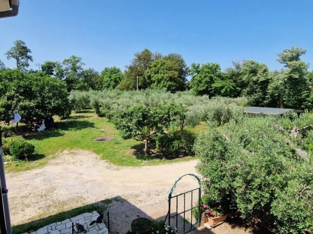 Appartamento a Orbetello - Foto 4