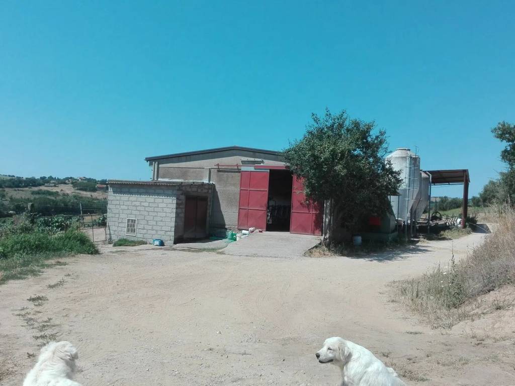 Rustico / casale a Magliano in toscana in Strada Provinciale Dell'Aione, 1 - Foto 2