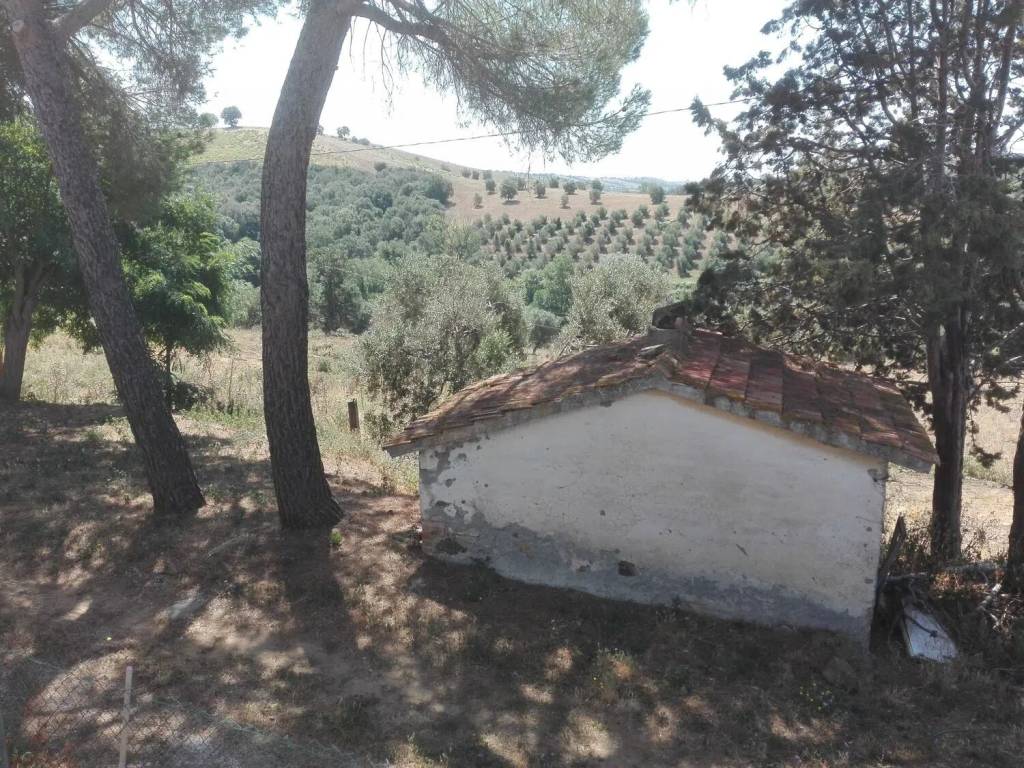 Rustico / casale a Magliano in toscana in Strada Provinciale Dell'Aione, 1 - Foto 3