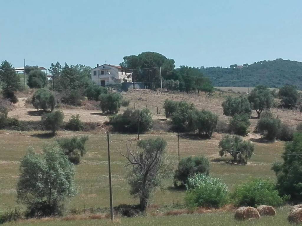 Rustico / casale a Magliano in toscana in Strada Provinciale Dell'Aione, 1 - Foto 4
