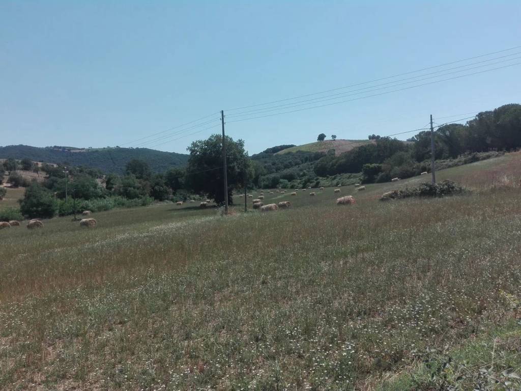 Rustico / casale a Magliano in toscana in Strada Provinciale Dell'Aione, 1 - Foto 5