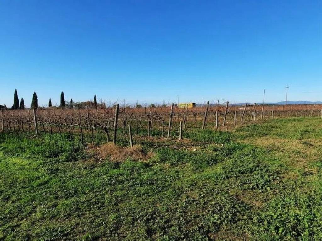 Rustico / casale a Orbetello in Ss323 - Foto 5
