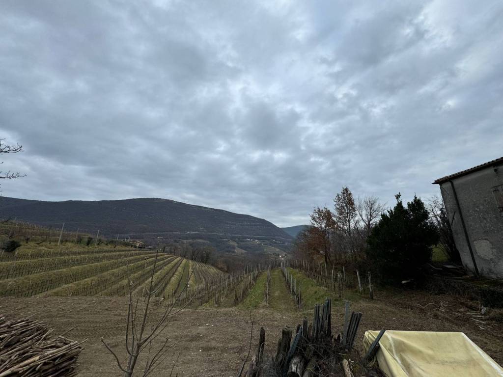 Casa indipendente a Gorizia in LOCALITA OSLAVIA - Foto 4