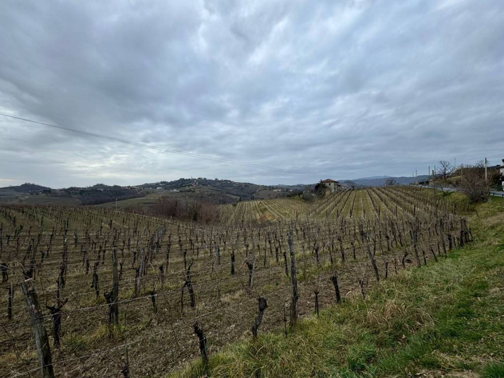Casa indipendente a Gorizia in LOCALITA OSLAVIA - Foto 5