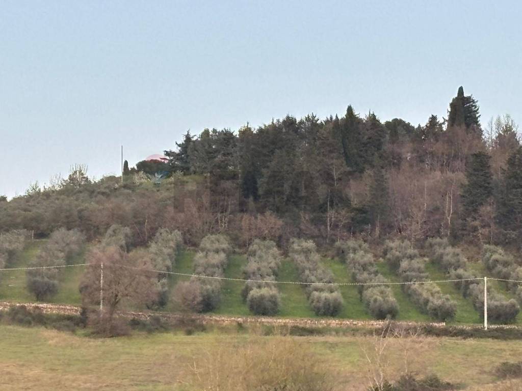 Terreno a Perugia in Via Emirati Arabi Uniti - Foto 3