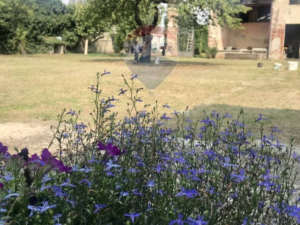 Rustico / casale a San zenone al po - Foto 4