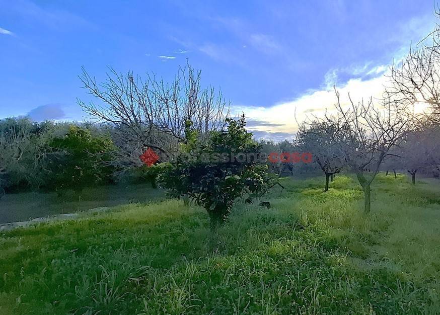 Villa a Aprilia in Via Torricelli, 14 - Foto 5