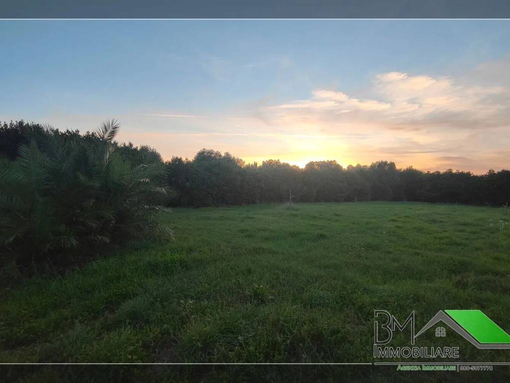 Villa a Montalto di castro in Strada Della Percossa, 6 - Foto 5