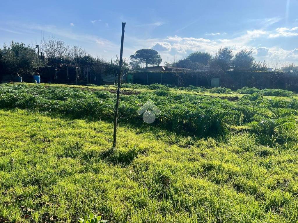 Terreno a Acerra in Via Volturno, 120 - Foto 5