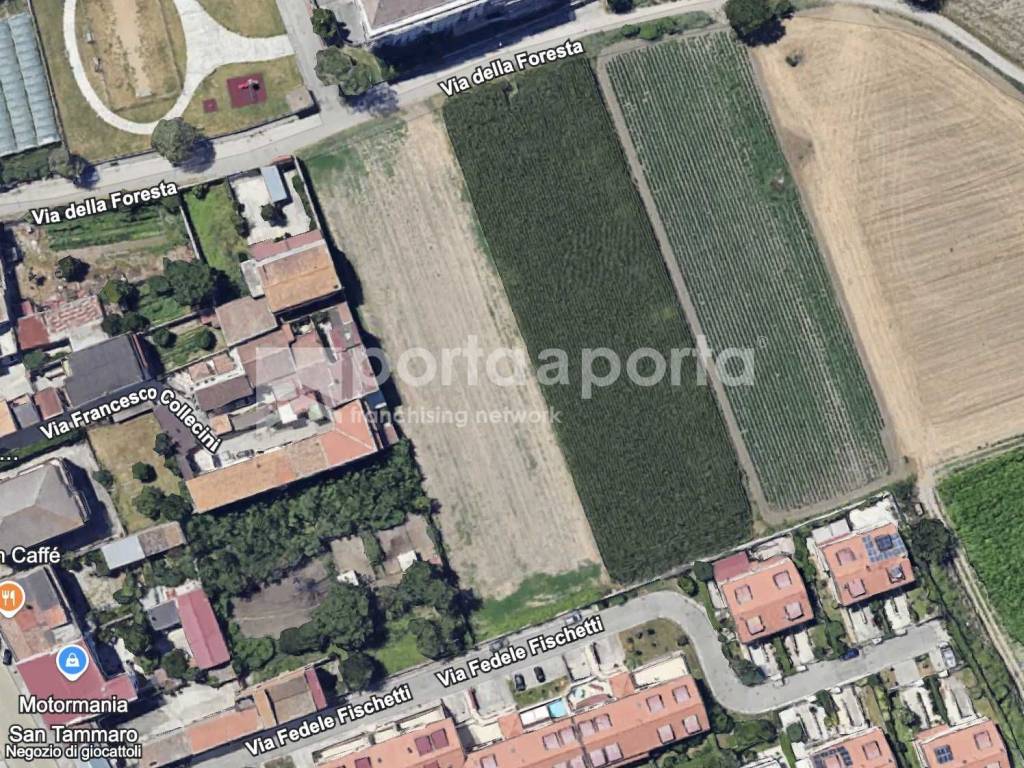 Terreno a San tammaro in Via della Foresta - Foto 2