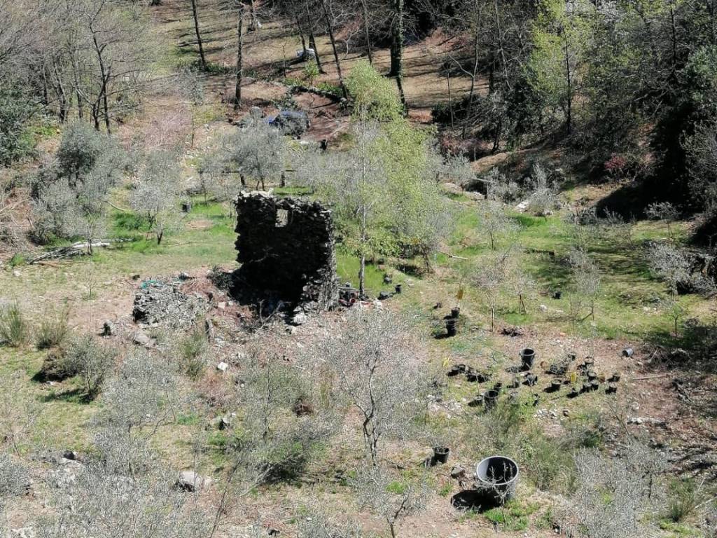 Rustico / casale a San bernardino verbano in Via Ompio - Foto 3