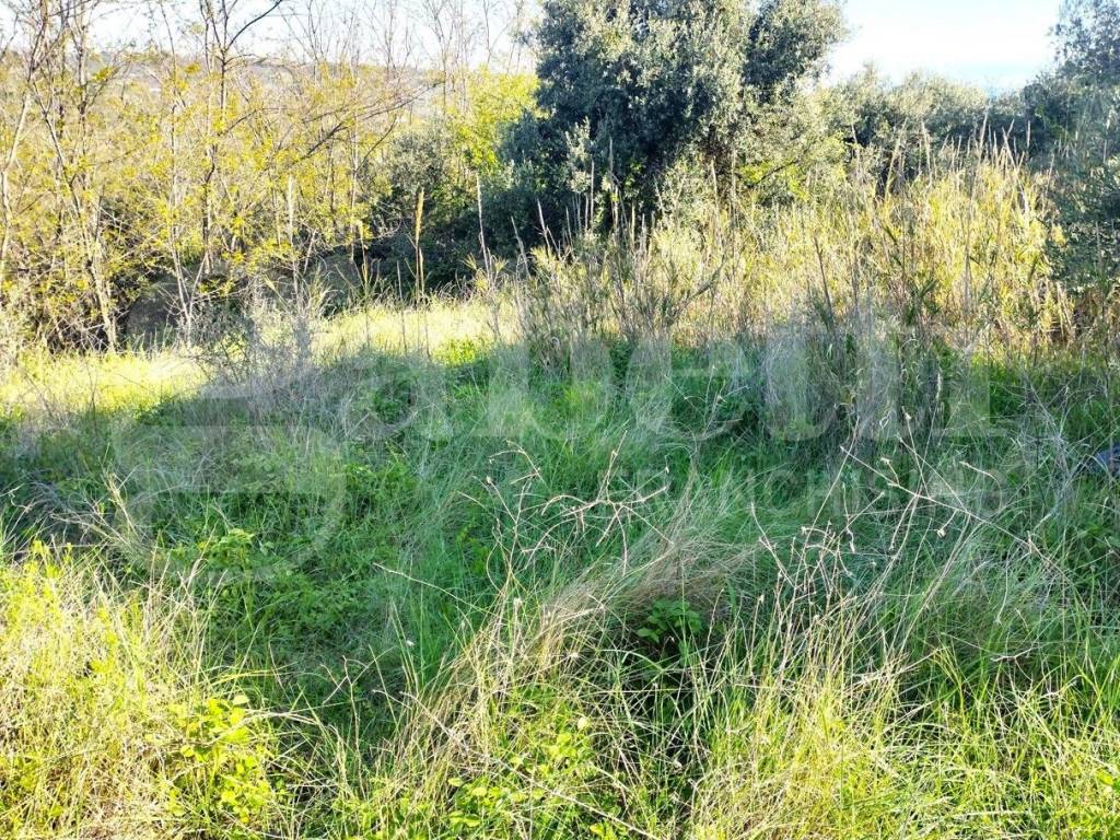 Terreno a Miglianico in Loc. Montupoli, 12 - Foto 2