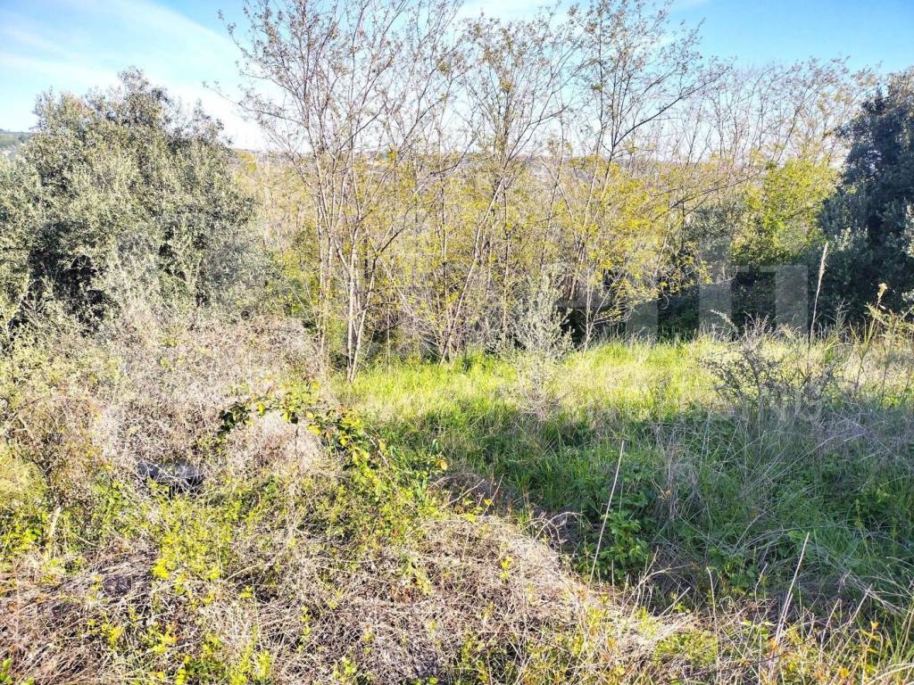 Terreno a Miglianico in Loc. Montupoli, 12 - Foto 4