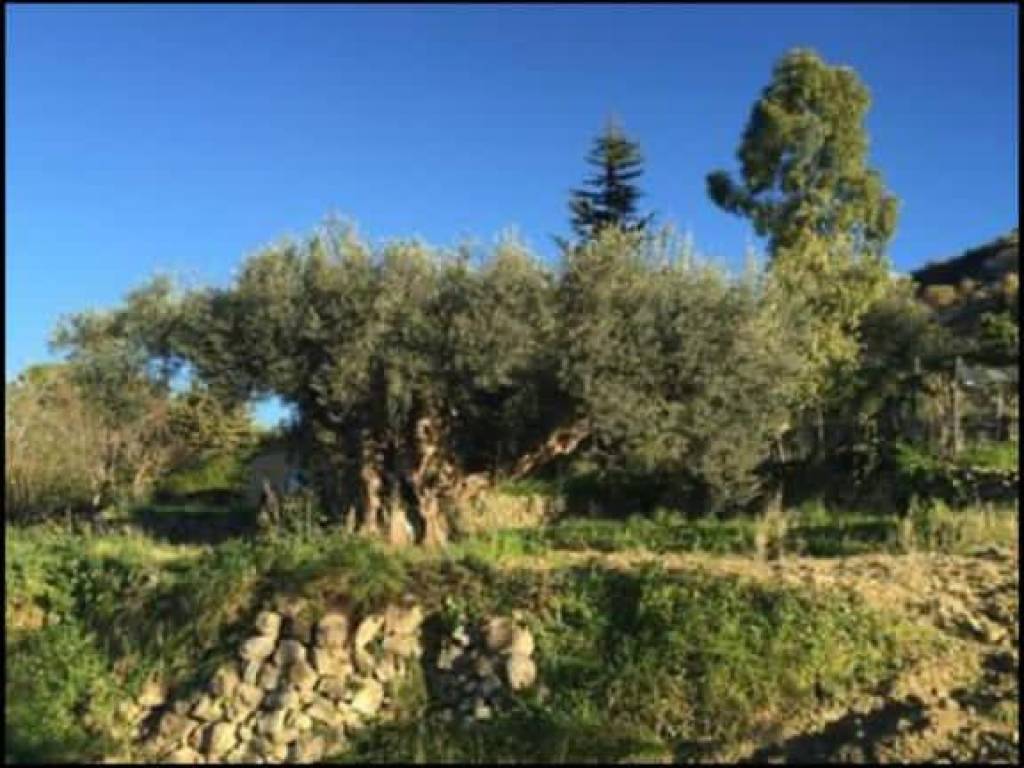 Terreno a Enna in Contrada Strazzavertole Torre - Foto 2