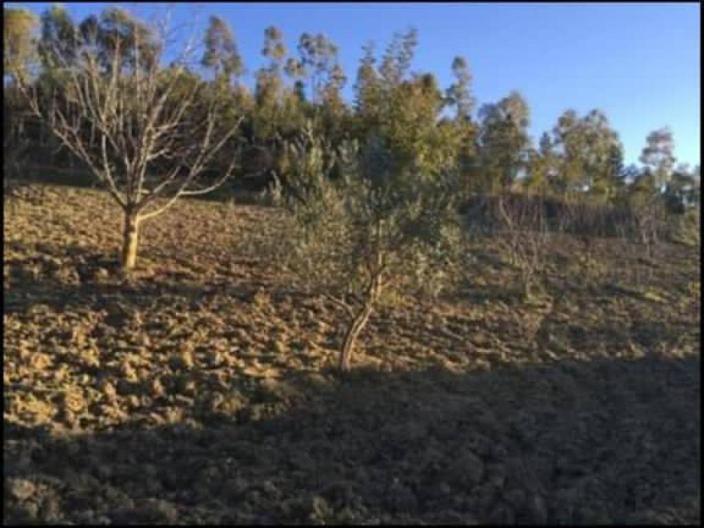 Terreno a Enna in Contrada Strazzavertole Torre - Foto 4