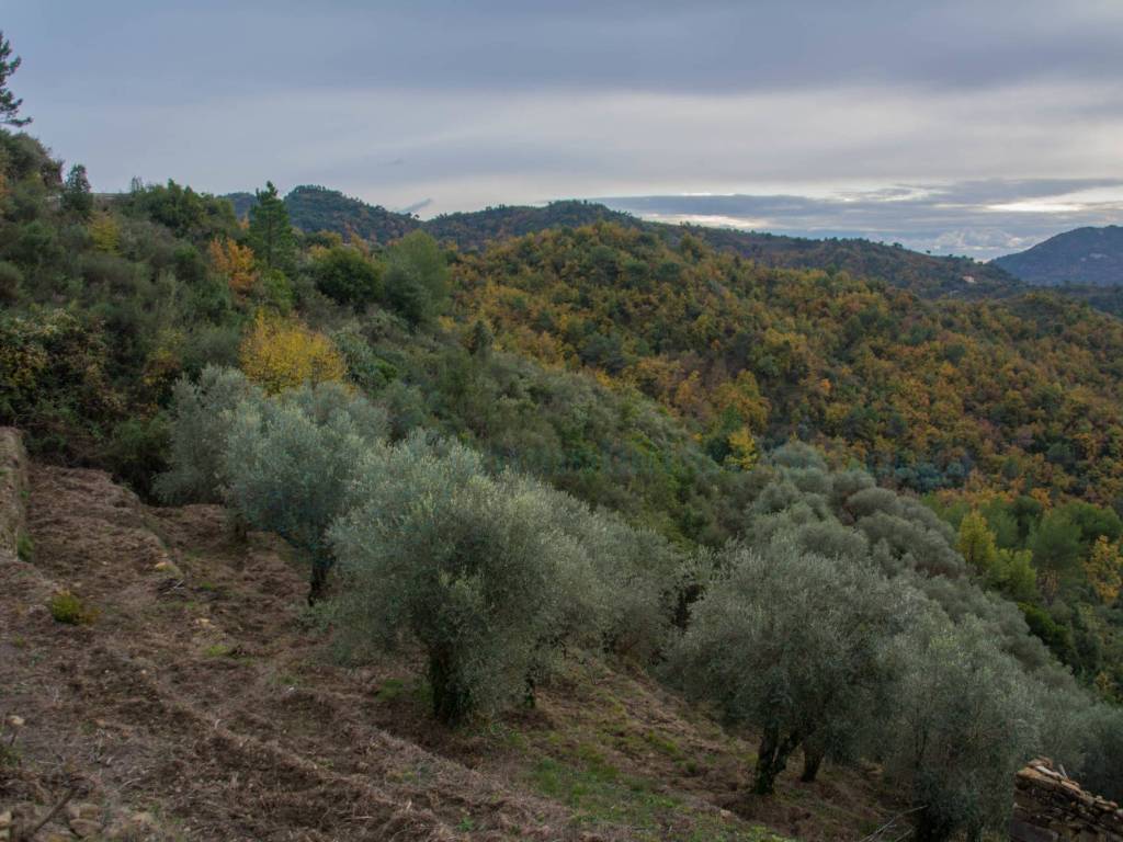 Rustico / casale a Ventimiglia - Foto 3