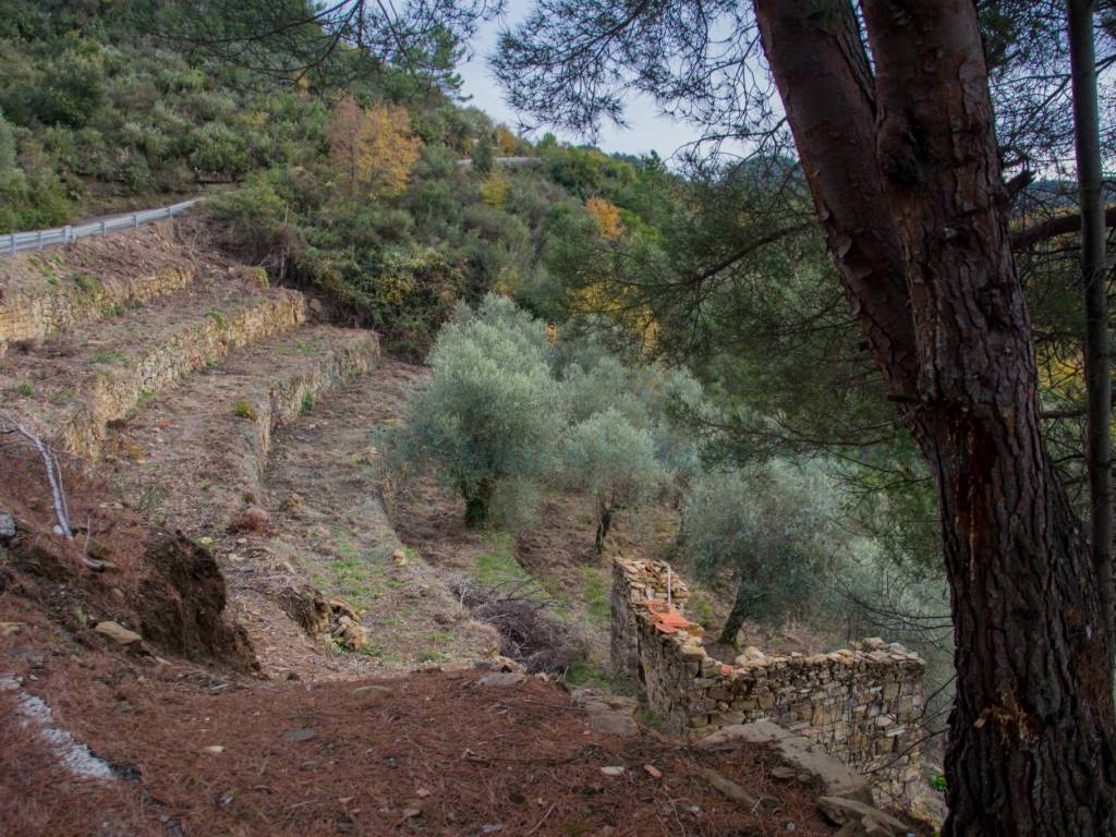 Rustico / casale a Ventimiglia - Foto 4