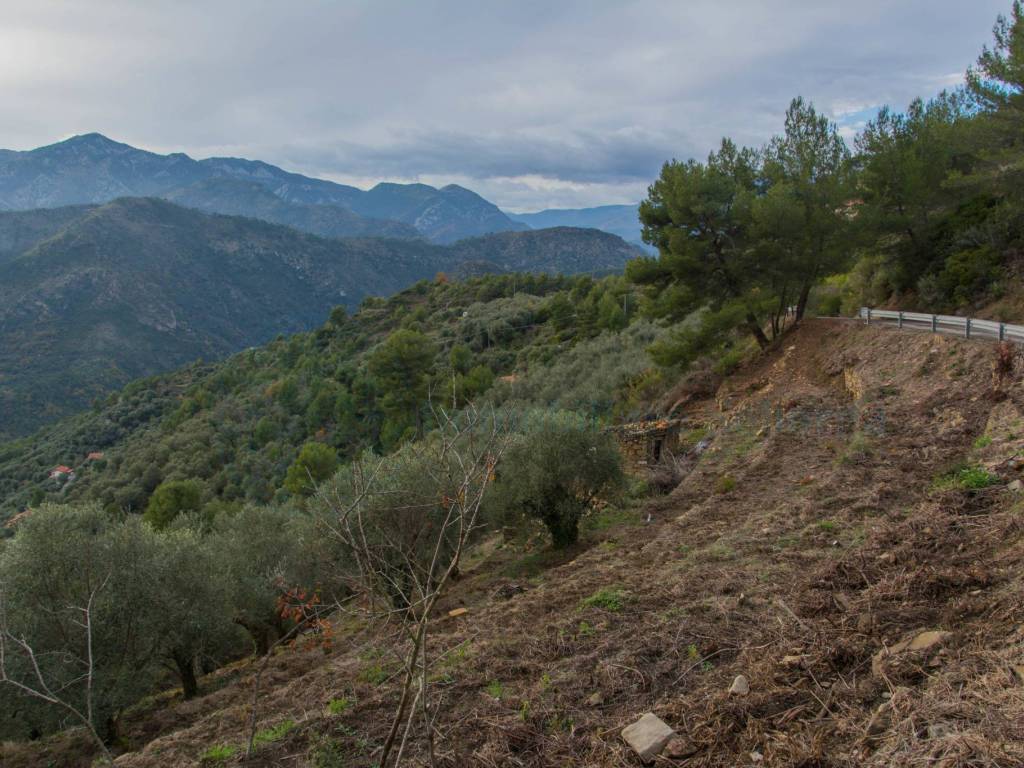 Rustico / casale a Ventimiglia - Foto 5