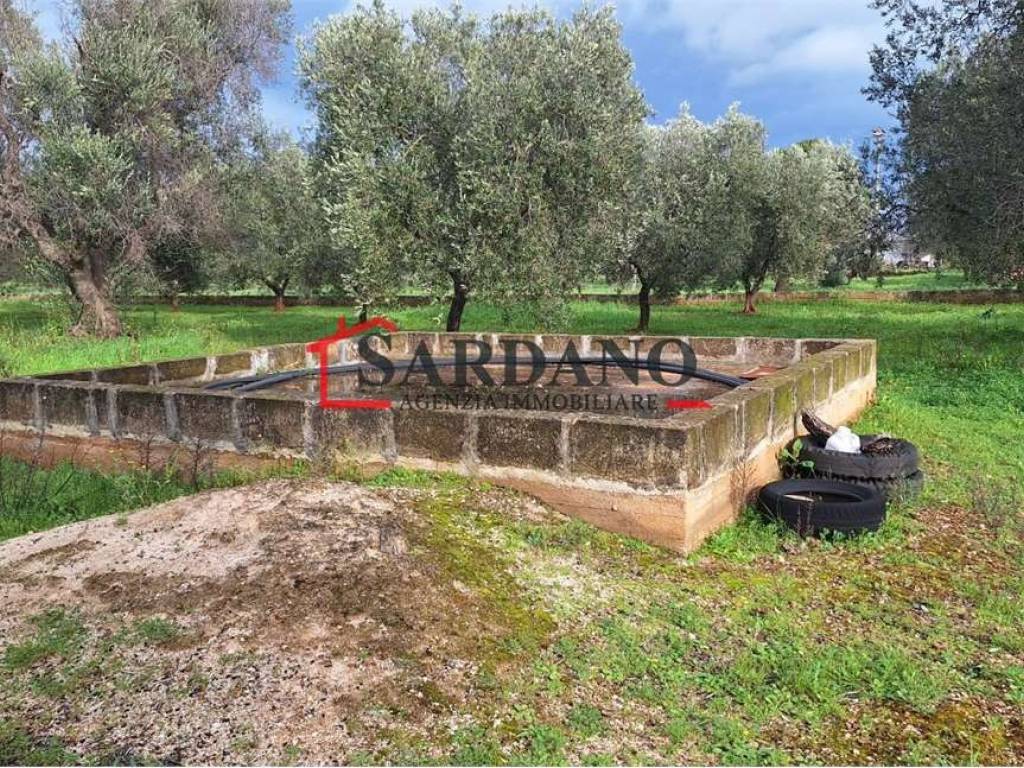 Terreno a Carovigno - Foto 3