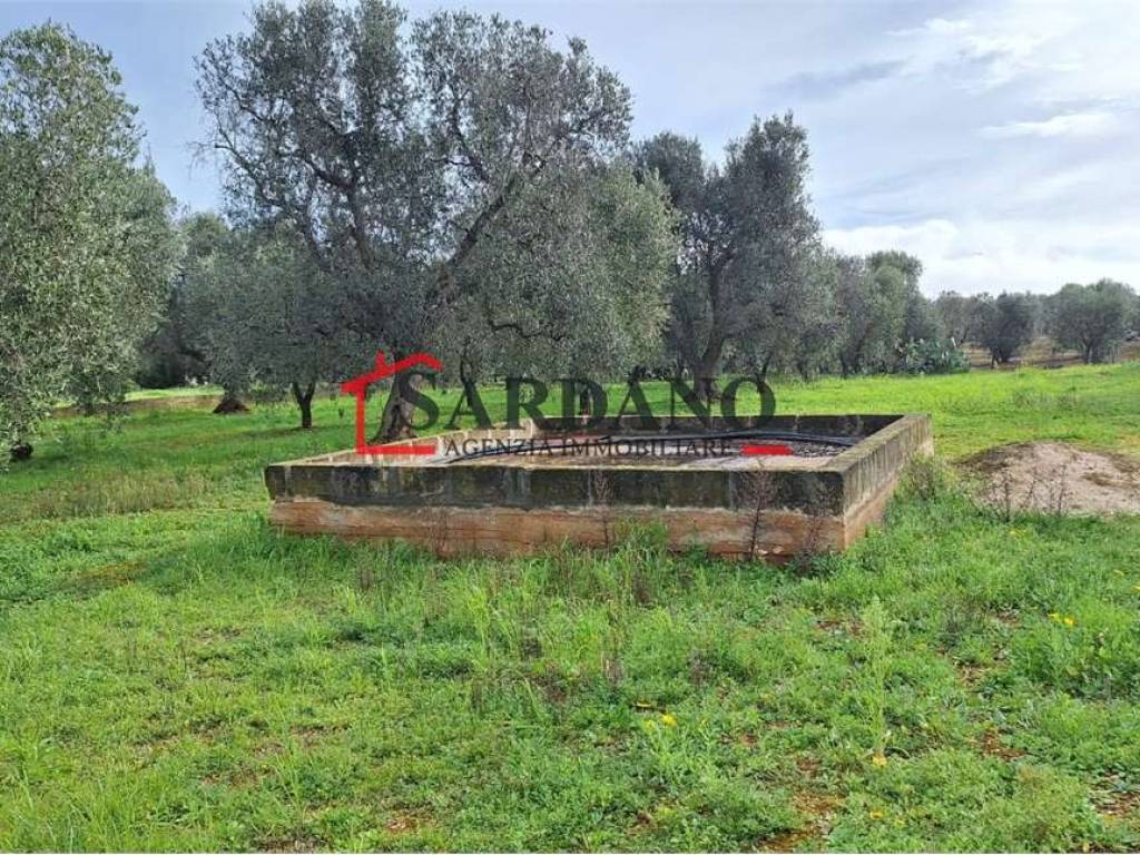 Terreno a Carovigno - Foto 4