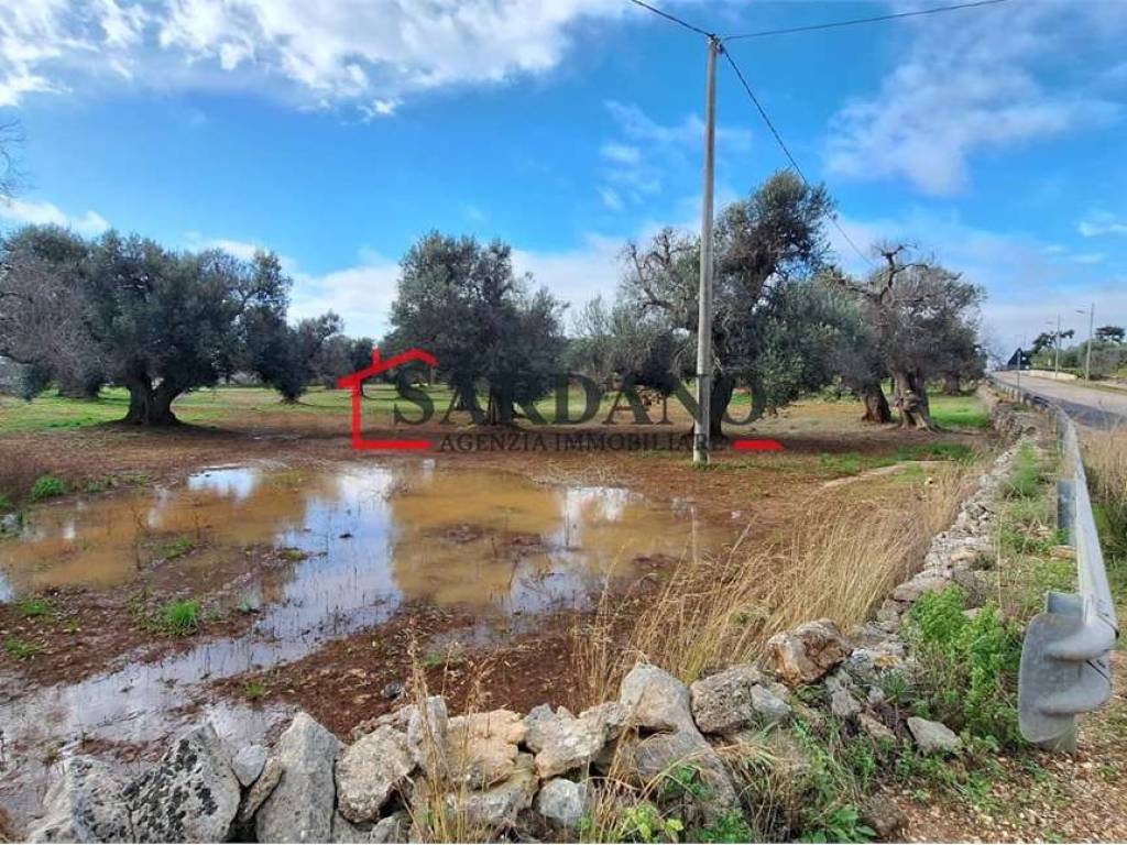 Terreno a Carovigno - Foto 3
