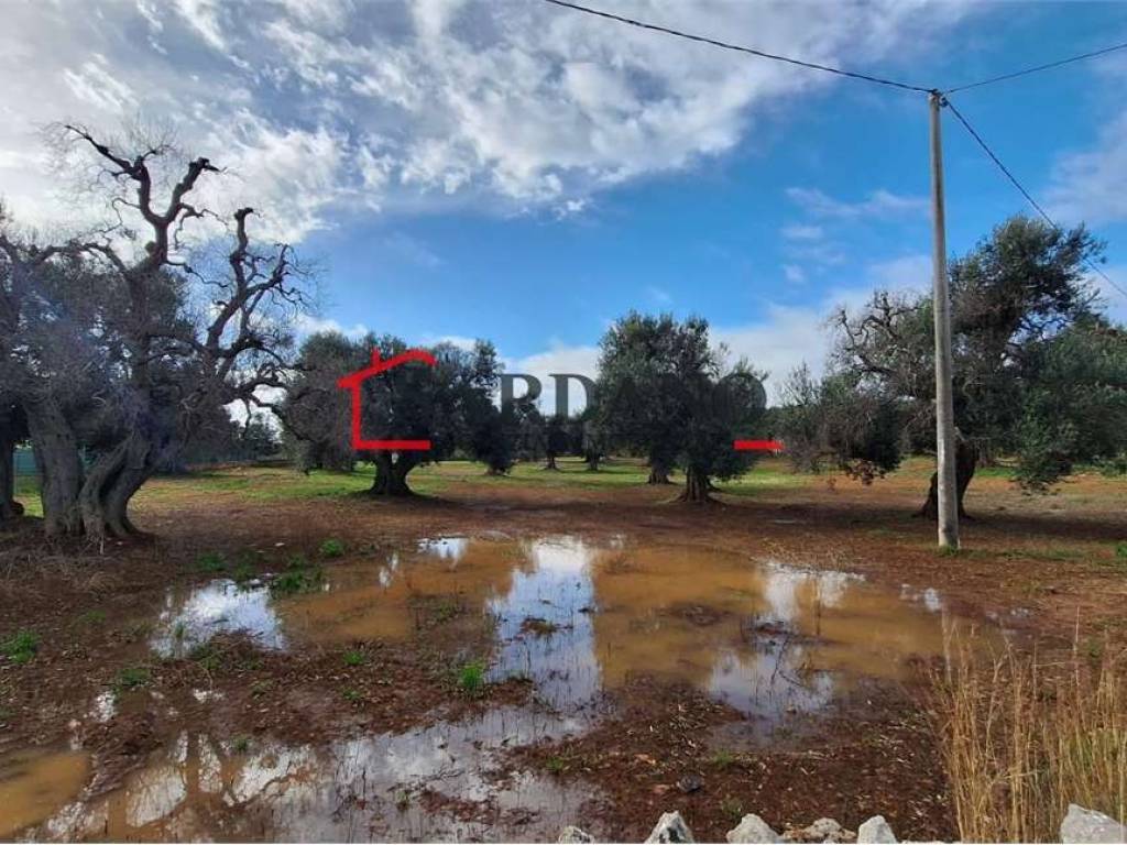 Terreno a Carovigno - Foto 4